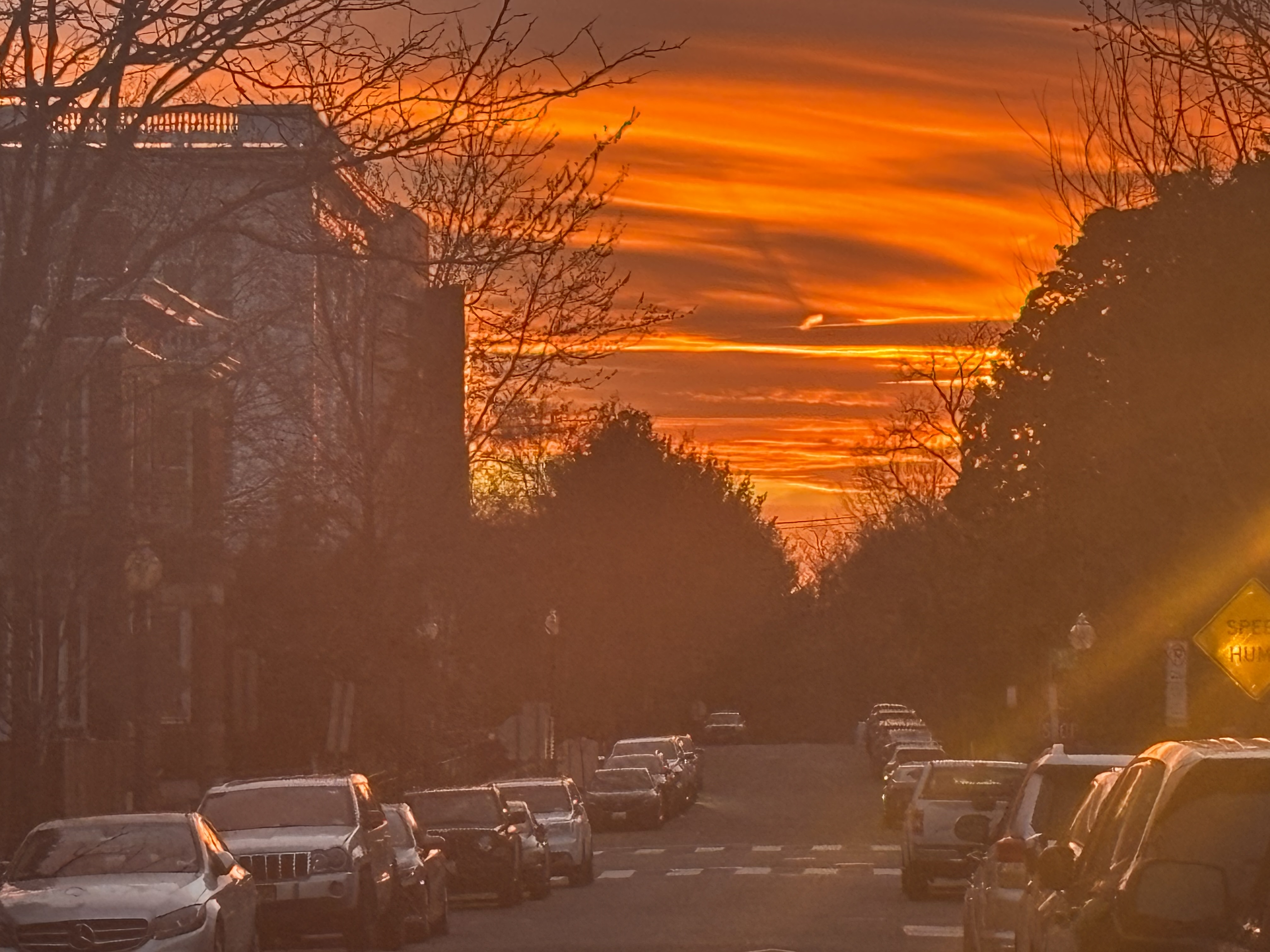Portrait of Tom Li 李東源